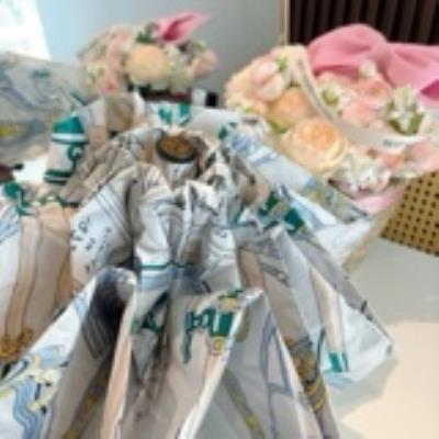 wholesale quality hermes umbrella model no. 4
